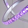 Saginaw Lampadario a sospensione LED Nichel opaco, 1-Luce, Telecomando, Cambia colore