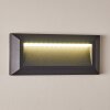 Applique da esterno Alkmaar LED Antracite, 1-Luce