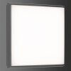 Plafoniera da esterno LCD TYP 5062 LED Nero, 1-Luce