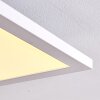 Salmi Plafoniera LED Bianco, 1-Luce, Telecomando, Cambia colore