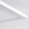 Salmi Plafoniera LED Bianco, 1-Luce, Telecomando, Cambia colore