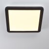 Siguna Plafoniera LED Nero, Bianco, 1-Luce