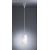 Tecnolumen HLWS 4 Lampada a sospensione Nichel opaco, 1-Luce