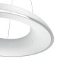 Philips Hue Ambiance White Amaze Lampada a Sospensione LED Bianco, 1-Luce, Telecomando