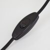Mialo Lampada da tavolo Nero, 1-Luce