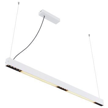 Globo HODARI Lampadario a sospensione LED Bianco, 1-Luce, Telecomando, Cambia colore