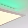 Turbalá Plafoniera LED Bianco, 2-Luci, Telecomando, Cambia colore