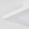 Turbalá Plafoniera LED Bianco, 2-Luci, Telecomando, Cambia colore