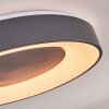 Casina Plafoniera LED Antracite, Bianco, 1-Luce, Telecomando