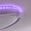 Fondaco Plafoniera LED Bianco, 1-Luce, Telecomando, Cambia colore
