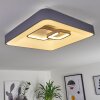 Gabbiana Plafoniera LED Grigio, Bianco, 1-Luce, Telecomando