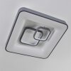Gabbiana Plafoniera LED Grigio, Bianco, 1-Luce, Telecomando