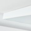 Pedemonte Plafoniera LED Bianco, 1-Luce