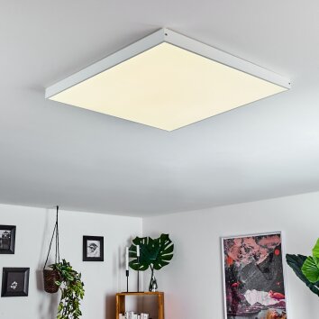 Pedemonte Plafoniera LED Bianco, 1-Luce