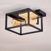 Salla Plafoniera Legno chiaro, Nero, 1-Luce