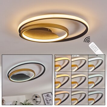 Trapani Plafoniera LED Oro, Nero, 1-Luce, Telecomando, Cambia colore