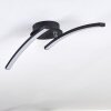 Aringa Plafoniera LED Nero, 1-Luce