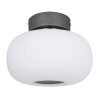 Globo  Plafoniera LED Antracite, Nichel opaco, 1-Luce
