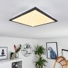 Salmi Plafoniera LED Nero, Bianco, 1-Luce