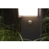 Lutec QUBO Lampioncino Segnapasso LED Antracite, 1-Luce, Sensori di movimento