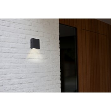 Lutec GEMINI Applique da esterno LED Antracite, 1-Luce