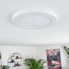 Canditas Plafoniera LED Bianco, 1-Luce