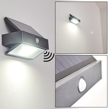 Wiborg Applique da esterno LED Antracite, 1-Luce, Sensori di movimento