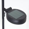 Rovinj Lampada solare LED Antracite, Ramato, 1-Luce