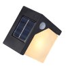 Globo Solar Applique da esterno LED Nero, 8-Luci, Sensori di movimento