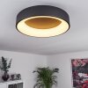 Pine Plafoniera LED Nero, 1-Luce