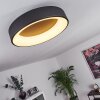 Pine Plafoniera LED Nero, 1-Luce