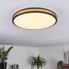 Kirtland Plafoniera LED Oro, Nero, 1-Luce