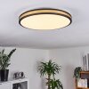 Kirtland Plafoniera LED Oro, Nero, 1-Luce