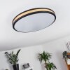 Kirtland Plafoniera LED Oro, Nero, 1-Luce