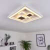 Fitili Plafoniera LED Nero, Bianco, 1-Luce, Telecomando, Cambia colore