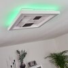 Fitili Plafoniera LED Nero, Bianco, 1-Luce, Telecomando, Cambia colore