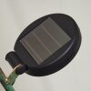 Taft Lampada solare LED Ambrato, Verde, Ramato, 1-Luce