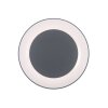 Leuchten Direkt ANIKA Plafoniera LED Antracite, 1-Luce, Telecomando