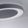 Leuchten Direkt ANIKA Plafoniera LED Antracite, 1-Luce, Telecomando