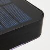 Bondarp Lampade solari LED Nero, 1-Luce, Sensori di movimento