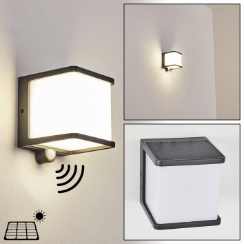 Burseryd Lampade solari LED Antracite, 1-Luce, Sensori di movimento