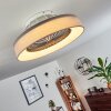 Moli ventilatore da soffitto LED Grigio, Bianco, 1-Luce, Telecomando