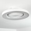 Penon ventilatore da soffitto LED Bianco, 1-Luce, Telecomando