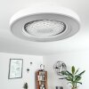Penon ventilatore da soffitto LED Bianco, 1-Luce, Telecomando