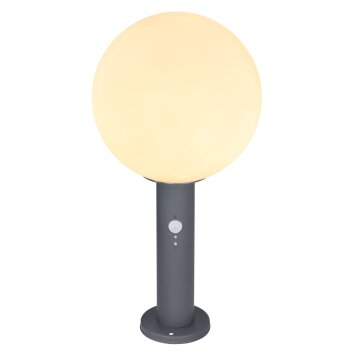 Globo OSSY Lampada con piedistallo Antracite, 1-Luce, Sensori di movimento