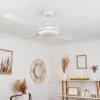Tjerne ventilatore da soffitto LED Bianco, 1-Luce