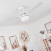 Hausvik ventilatore da soffitto Marrone, Bianco, 1-Luce, Telecomando
