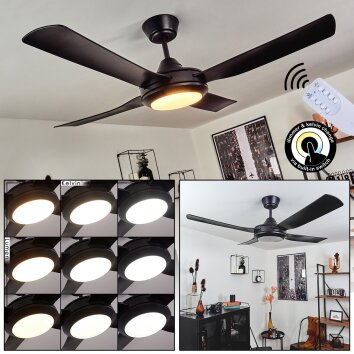 Tjerne ventilatore da soffitto LED Nero, 1-Luce, Telecomando