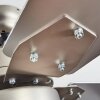 Hamnvik ventilatore da soffitto Nichel opaco, 1-Luce