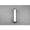 Trio Fuerte Applique da esterno LED Antracite, 1-Luce